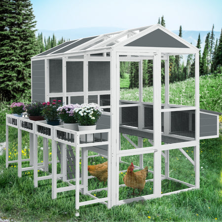 Wooden Chicken Coop for 10 Chickens with Run & Nest Boxes