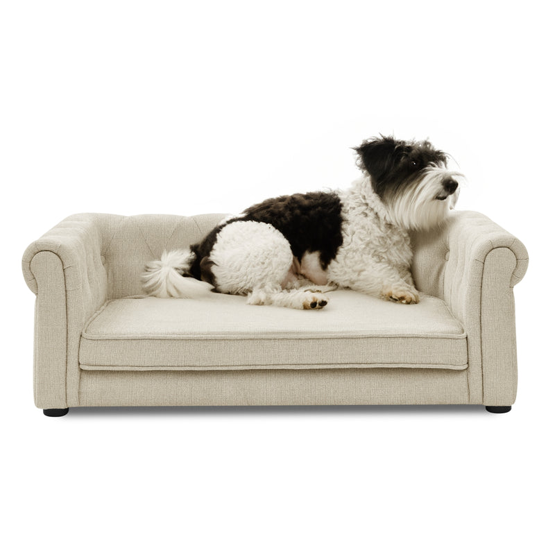 Durable Elevated Dog Bed for Medium & Large Dogs