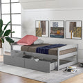 Twin Size Platform Bed with Storage Drawers, Gray